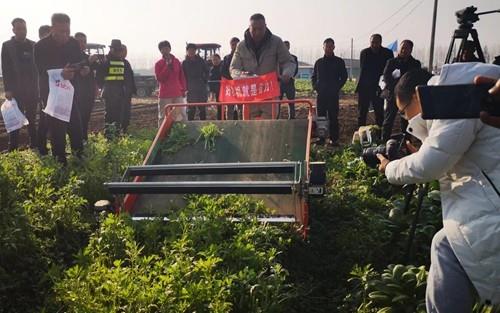 陕西西安蔬菜生产推广“省力化”农机