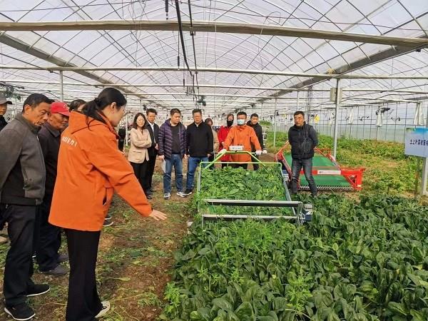 省力科技助力扬州市蔬菜机械化智能化生产技术
