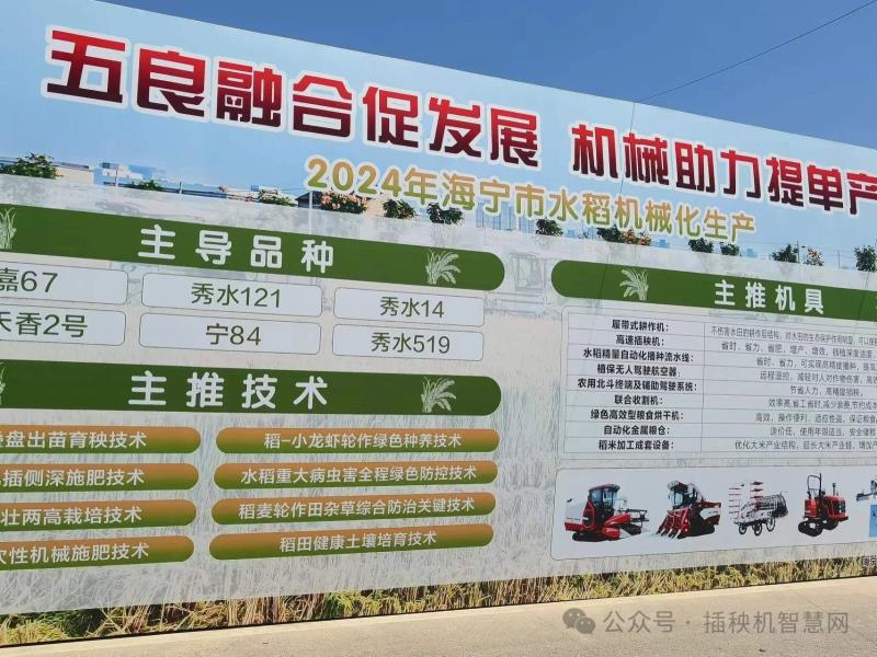 省力科技在浙江海宁演示水稻提单产新技术！