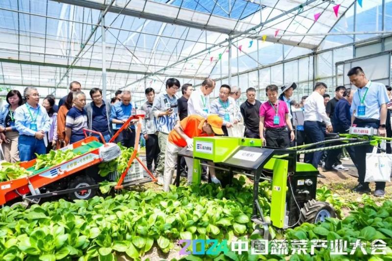 省力科技荣获中国蔬菜协会“优秀会员”称号