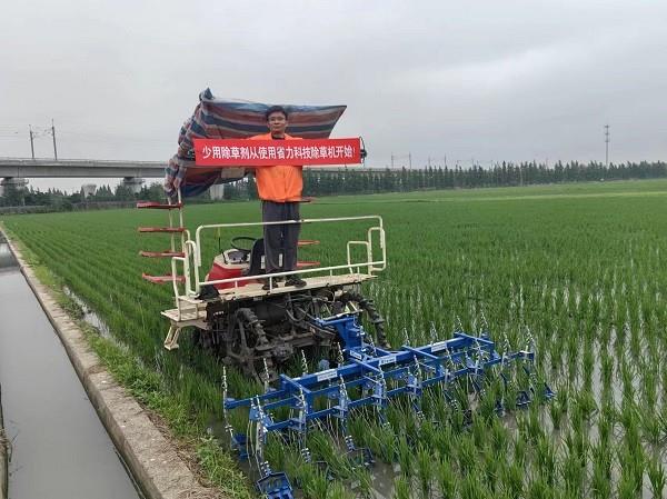 上海嘉定大力推广水稻机械化除草