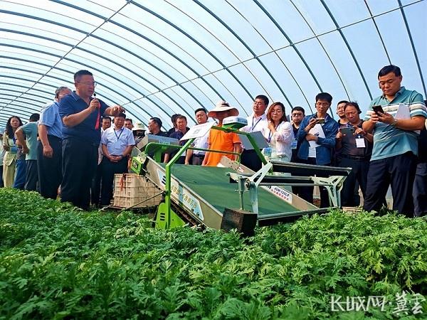 省力科技叶菜生产装备在第四届蔬菜生产机艺融合大会受欢迎